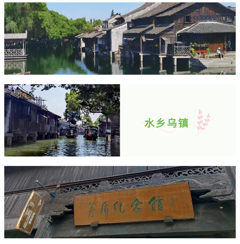 共赴山海之約| 德信致遠(yuǎn)舟山-烏鎮(zhèn)四日游圓滿落幕